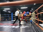 Petarung Muda Batam dan Tanjungpinang Panaskan Ring di The Rising of Scorpion Warrior