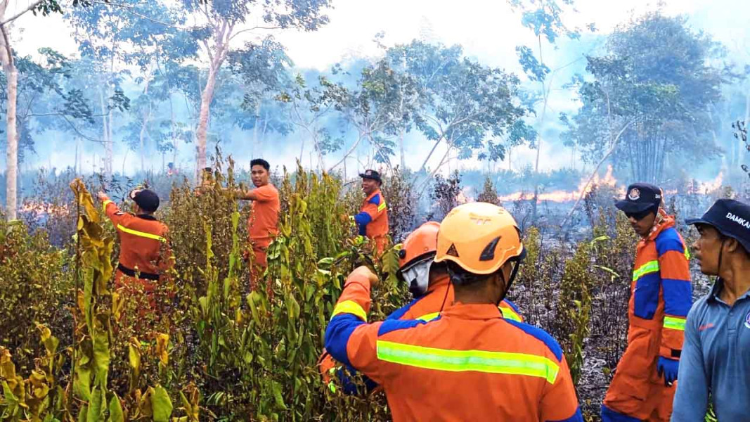 Kebakaran Lahan di Lingga Hanguskan Ribuan Pohon Karet Kampung Boyan