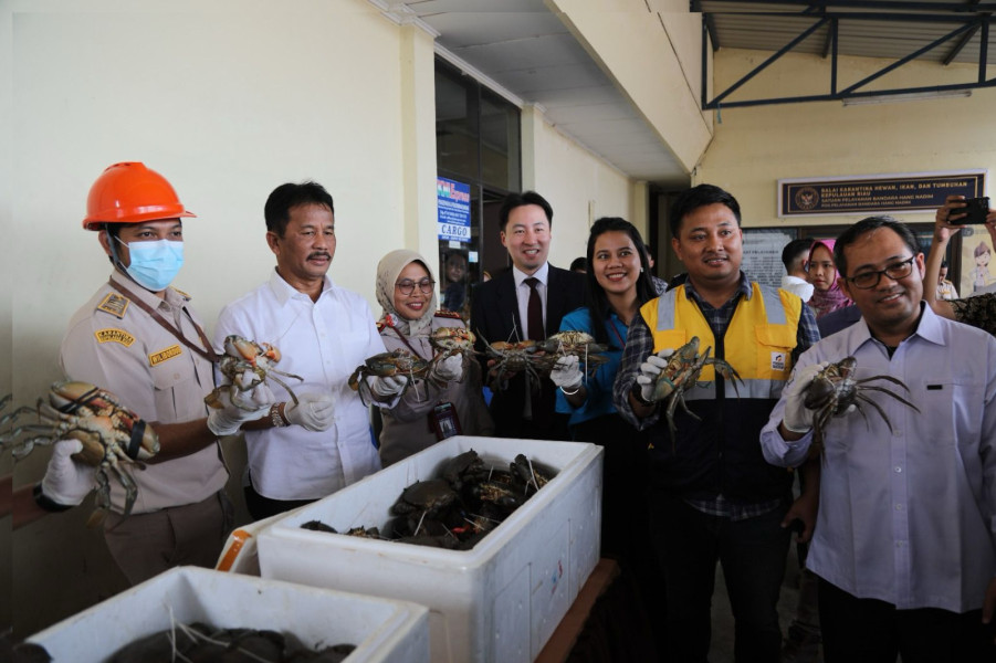 Batam Budidaya Kepiting, Rudi Lepas Ekspor Perdana Kepiting Bakau ke China
