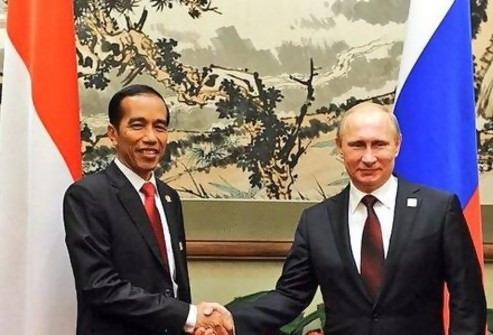 Temui Putin, Jokowi Minta Rusia dan Ukraina Lakukan Dialog