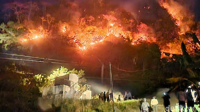 Gunung Jayanti Sukabumi Kebakaran, Damkar-TNI-Polri Cegah Titik Api Meluas