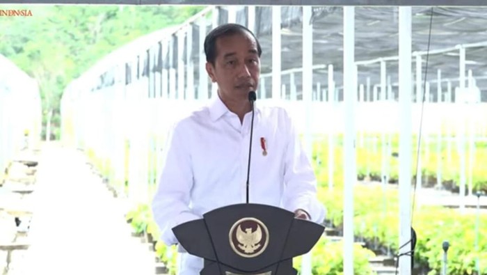 Kapan Keppres IKN Ditandatangani? Ini Kata Jokowi