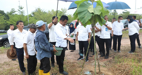 Kepala BP Batam Tinjau Pertumbuhan Pohon Jati Emas di Kawasan Taman Dang Anom