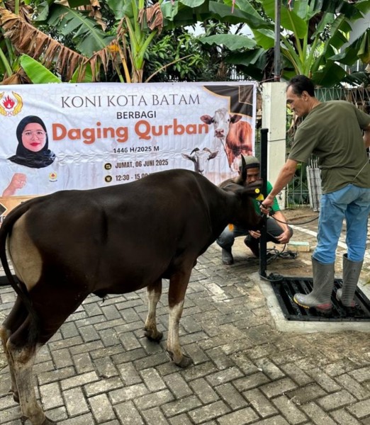 KONI Batam Tunjukkan Kepedulian, Salurkan Hewan Kurban untuk Masyarakat