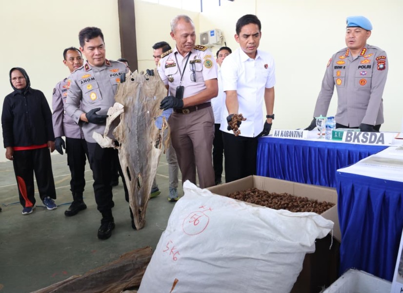 Polda Kepri Gagalkan Penyelundupan Hasil Laut, Satwa Dilindungi, dan Penyelewengan BBM Subsidi