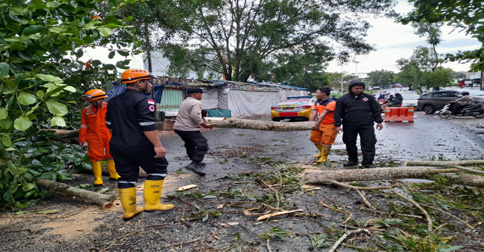 Respon Cepat, Polsek Tanjungpinang Timur Evakuasi Pohon Tumbang