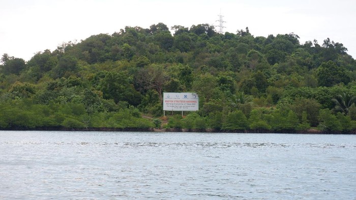 Pulau Tanjung Sauh Batam Disahkan Jokowi Jadi KEK Baru, Segini Nilai Investasi