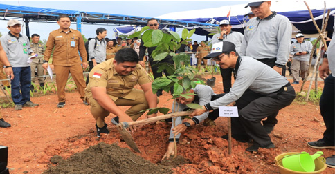 Lahan Eks Tambang Tembeling Tanjung Bintan Diubah Jadi Ruang Terbuka Hijau