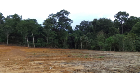 KPHL Pastikan Hutan Bukit Daeng Tembesi Masuk Hutan Lindung