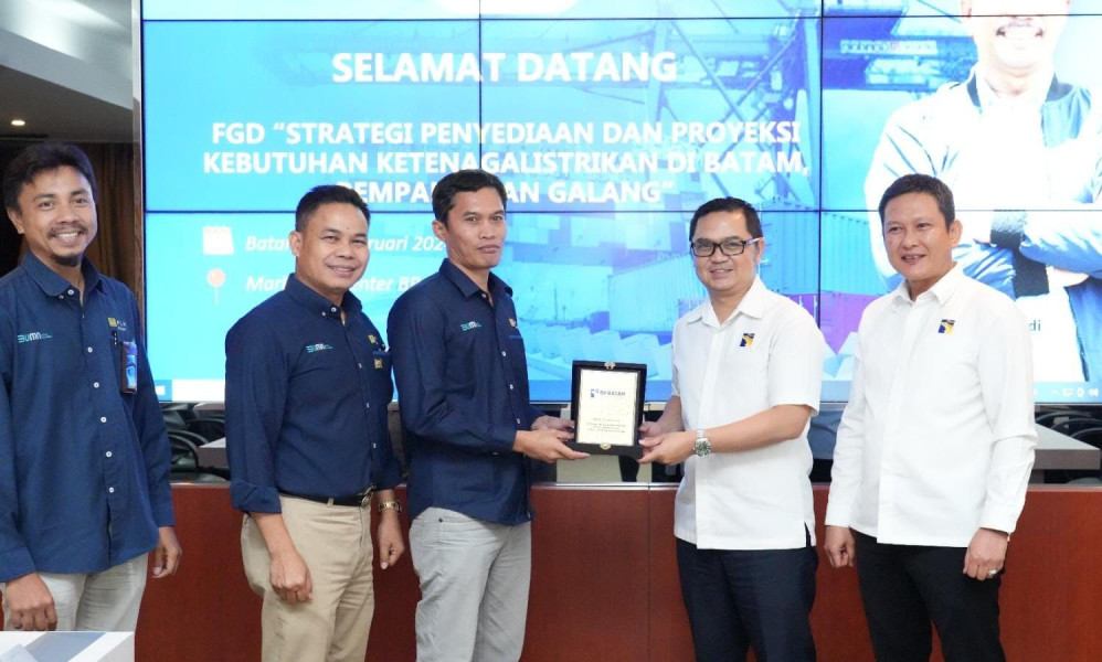 Ketersediaan Energi Listrik di Rempang Jadi Atensi BP Batam