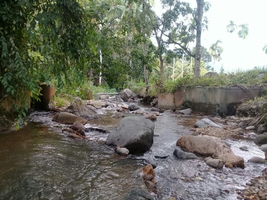 Lima Bendung Air  di Batang Panyaguan Pasaman Rubuh, Masyarakat Minta di Bangun Kembali