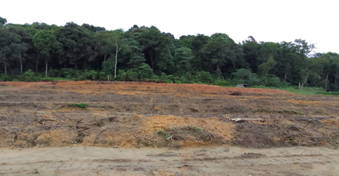 Waspada Penipuan, Warga Diimbau Kroscek Legalitas Kavling Bukit Daeng ke BP Batam