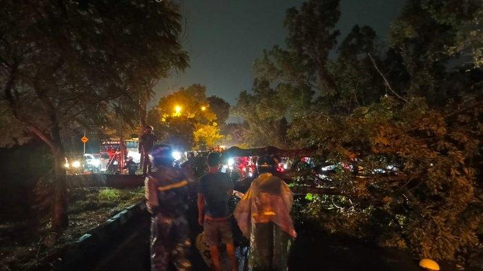 Akibat Angin kencang Beberapa Pohon Tumbang di Kota Batam