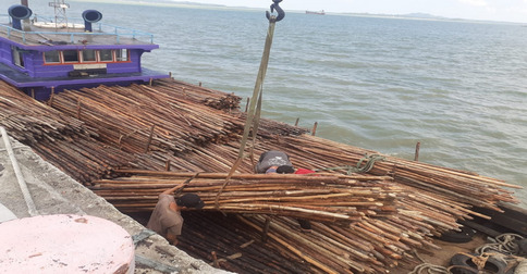 Bea Cukai Kepri Gagalkan Penyeludupan 8.500 Batang Kayu Bakau di Perairan Batam