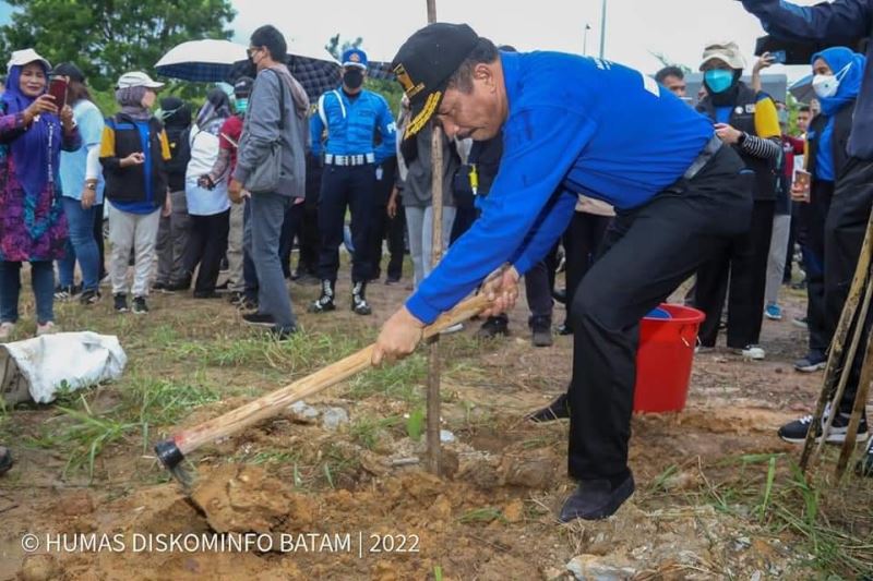 Wujudkan Batam Hijau, 12 Ribu Pohon Jati Emas Ditanam di Sepanjang Laluan Madani Hingga Nongsa