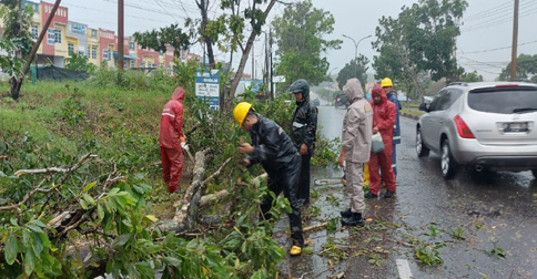 Polsek Tanjungpinang Timur Bantu Evakuasi Pohon Tumbang Depan Vihara KM 14